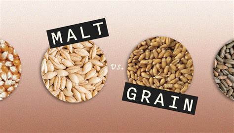 malt whisky vs grain.